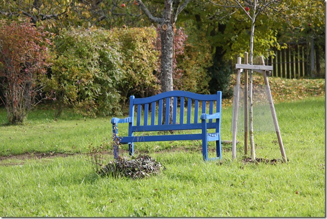 Cheatpatrols Sicht: blaue Gartenbank